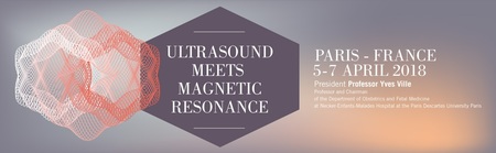 Ultrasound Meets Magnetic Resonance: Paris, France, 5-7 April 2018
